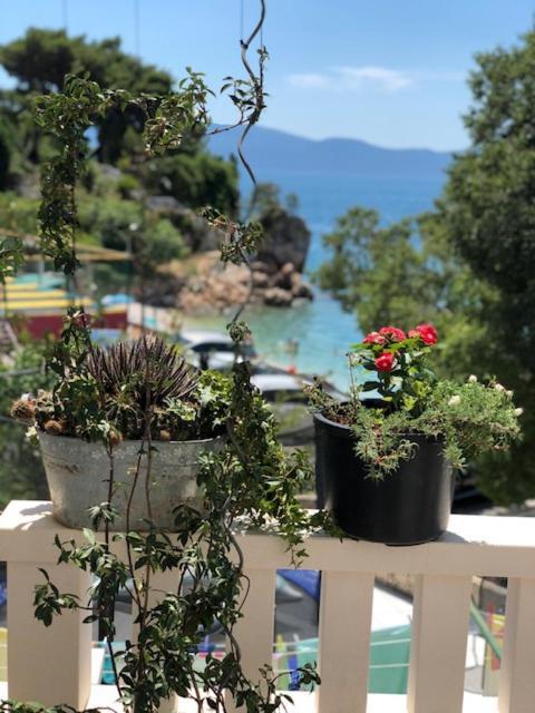 Villa Bosac Gradac (Split-Dalmatia) Exterior foto